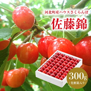 yӂ邳Ɣ[Łzyߘa8NYznEX  300g ϔ 5 G L ȏ ①z  TN{ `F[ t[c ʕ ʓ   v[g 蕨  