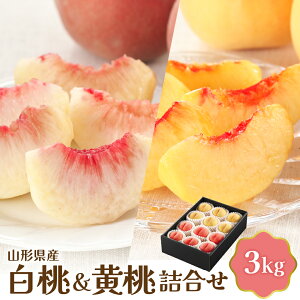 yӂ邳Ɣ[Łzyߘa8NYz    lߍ킹 3kg | t[c ʕ  lߍ킹 Hה lC   ① Yn  O  k R` ͖k yJA