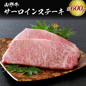 yӂ邳Ɣ[Łzy IzR` T[C Xe[L 600gi 300g × 2j R`  ւ јa I R` R`Y Y a јa uha T[C Xe[L Ă 