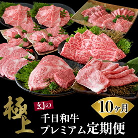 【ふるさと納税】【数量限定】山形牛 10ヶ月 肉 定期便【黒毛和牛 ブランド 和牛】牛肉 千日和牛 国産 山形県産 特選 すき焼 焼き肉 サーロイン ステーキ 厚切りステーキ 上肩ロース 盛り合わせ お取り寄せ グルメ 冷凍 送料無料