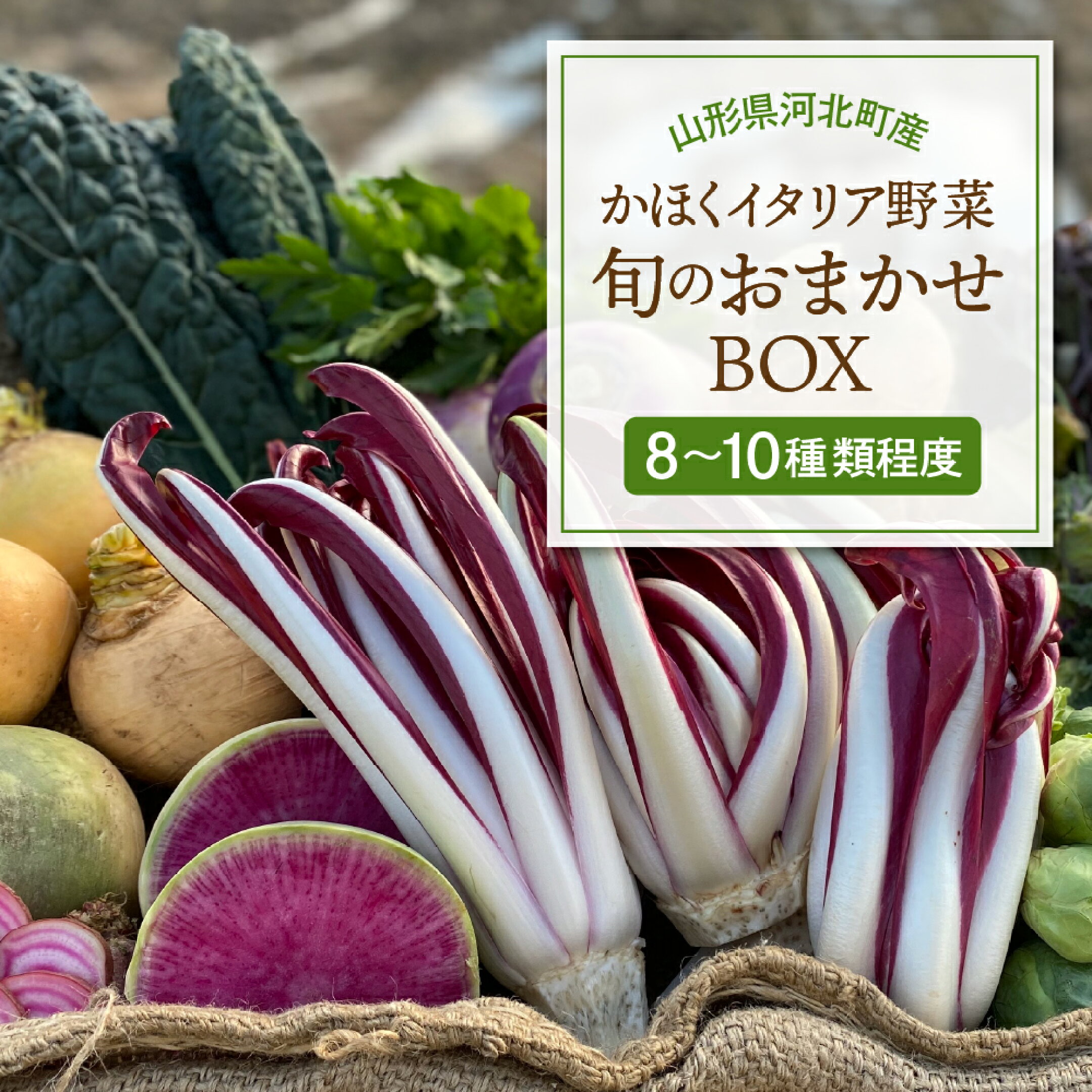 かほくイタリア野菜 旬のおまかせBOX 選べる（約5～8種類 / 約8～10種類  ） 野菜の説明&おしゃれな料理が簡単に作れちゃうレシピ付き♪
