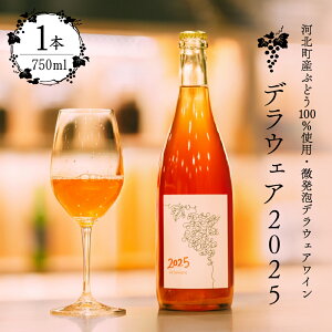 yӂ邳Ɣ[Łzy ͖kY Ԃǂ 100 gpE A fEFAC zDelaware 2025 ( 750ml × 1{ ) yق炵Ёz|  Xp[NO yeBAi`C  AR