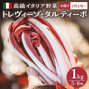 yӂ邳Ɣ[Łzy C^A 1kgEVstzgB[]E^eB[{ 5`8 R` ͖kYyق炵Ёz