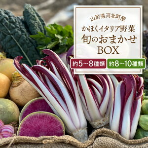 yӂ邳Ɣ[ŁzقC^A {̂܂BOX Iׂi5`8 / 8`10 j ؂̐&ȗȒPɍꂿႤVst R` ͖k  C^A C