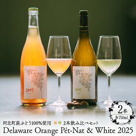 【ふるさと納税】Delaware Orange Pet-Nat & White 2025 2本飲み比べセット | ワイン オレンジワイン 白ワイン 国産ワイン デラウェア ナイアガラ ペットナット 微発泡 飲み比べ ギフト プレゼント 贈り物 お取り寄せ 山形県 河北町
