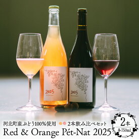 【ふるさと納税】Red & Orange Pet-Nat 2025 2本飲み比べセット（赤・オレンジ）| ワイン 赤ワイン オレンジワイン 国産ワイン マスカットベーリーA デラウェア ペットナット 微発泡 飲み比べ ギフト プレゼント 贈り物 お取り寄せ 山形県 河北町