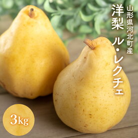 【ふるさと納税】※数量限定※ 【令和6年産】 洋梨 「 ル・レクチェ 」3kg 数量限定 フルーツ 山形県 河北町 産地 直送 送料 無料 贈答 ギフト【かほくらし社】