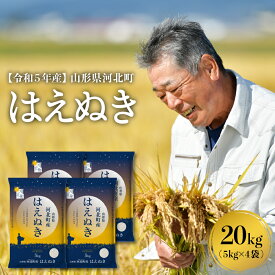 【ふるさと納税】令和5年産 はえぬき 10kg と 20kg が選べる 山形県産発送時期が選べる 先行予約 お試し 米 送料無料 山形県 河北町 先行受付 お米 白米 精米 こめ ごはん ご飯 おにぎり お取り寄せ 【米COMEかほく協同組合】