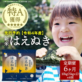 楽天市場】ふるさと納税 米 定期便 60Kgの通販
