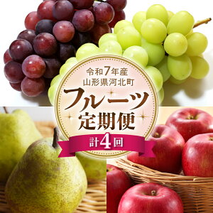 yӂ邳Ɣ[Łzsߘa7NYt t[c  S4 | R` VC}XJbg sI[l Ƃ tX ӂ Tӂ  嗱 Ԃǂ m  Mtg 蕨 v[g 