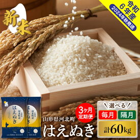 【ふるさと納税】 【令和6年産】定期便 はえぬき 60kg (20kg×3回) 毎月 隔月 と 発送時期が選べるお米 白米 ブランド米 精米 米どころ 大人気 お取り寄せ グルメ 弁当 おにぎり オススメ 送料無料 山形県 河北町