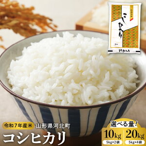 yӂ邳Ɣ[Łzy ߘa7NY z RVqJ 10kg 20kg R`Y s\ | Ђ蔭Iׂ     ͂   \ R` Yn  R` 