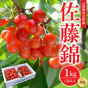 yӂ邳Ɣ[Łz ߘa8NY   ( eʂIׂ: 500g / 700g / 1kg ) Lʈȏ Gi Mtg | R`Y t[c  ʕ TN{ ϔ 蕨 Mtg  Yn