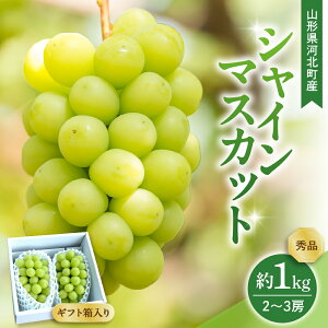 yӂ邳Ɣ[Łzyߘa7NYz Ԃǂ VC}XJbg 2`3[ 1kg Mtg Gi R`͖kY yR`eLabz  uhE }XJbg t[c ʕ   O 
