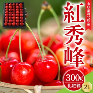 yӂ邳Ɣ[Łzyߘa8NYz gG 300g 2L l Gi ϔ R`͖kY yR`eLabz TN{ t[c ʕ lC  2026NY  R` ͖k