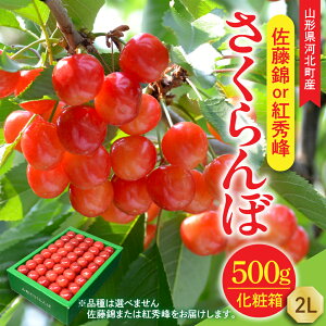 yӂ邳Ɣ[Łz ߘa8NY   500g or gG 500g ( Iׂ: L / 2L ) l Gi Mtg ϔ | t[c  ʕ TN{ 蕨 Mtg  Yn R`