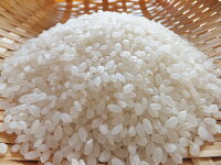 平成30年山形県河北町産『はえぬき』10.2kg【河北町米穀集荷組合】