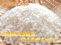 【ふるさと納税】【2019年10月発送分】山形県河北町産はえぬき10kg(5kg×2袋)【河北町米穀集荷組合】