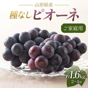 yӂ邳Ɣ[Łz s2025Ns\tƒp R`Y Ԃǂ sI[l 1.6kg(2`4[) 2025N8{珇  uhE 햳 ĉʎ Hʎ ʕ  t[c 󂠂 ƒp 