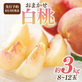 【ふるさと納税】 ≪2026年先行予約≫ 8月発送 山形県産 品種おまかせ 白桃 約3kg（8～12玉） 秀品 2026年8月上旬から順次発送 桃 もも モモ 果物 くだもの 夏果実 フルーツ 産地直送 山形県 西川町 月山 FYN6-115var
