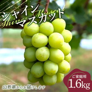 yӂ邳Ɣ[Łz ƒp R`Y VC}XJbg 1.6kg(3`4[) 2025N9{珇 嗱Ԃǂ Ԃǂ uhE  VC }XJbg Ȃ 嗱   t[c ʕ