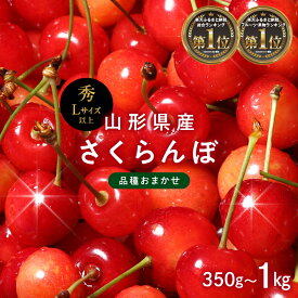【ふるさと納税】ランキング1位獲得!! 山形県産 さくらんぼ 品種おまかせ(佐藤錦・紅秀峰など)《 350g～1kg 》 秀/L以上 バラパック詰め 2026年6月中旬頃より発送 果物 くだもの フルーツ サクランボ チェリー 贈答 ギフト プレゼント 産地直送 2026年先行予約 FYN6-250var