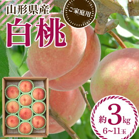 【ふるさと納税】≪2027年先行予約≫ ご家庭用 山形県産 品種おまかせ 白桃 約3kg（6～11玉） 2027年8月中旬から順次発送 柔らかくなる桃 はくとう 桃 もも モモ 果物 くだもの 夏果実 フルーツ 訳あり 農業者支援 家庭用 自宅用 産地直送 山形県 西川町 月山 FYN6-073