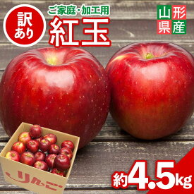 【ふるさと納税】 ≪2026年先行予約≫ ご家庭・加工用 山形県産 りんご 紅玉 約4.5kg 2026年10月上旬から順次発送 中生種 早い 林檎 リンゴ こうぎょく くだもの フルーツ 秋果実 訳あり 加工用 家庭用 自宅用 農家 支援品 産地直送 期間限定 山形県 西川町 月山 FYN6-148