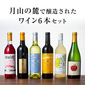 【ふるさと納税】月山山麓ワイン 飲み比べ6本セット（赤・白・ロゼ・スパークリング）ミディアムボディ ライドボディ 山形県 西川町 FYN6-111