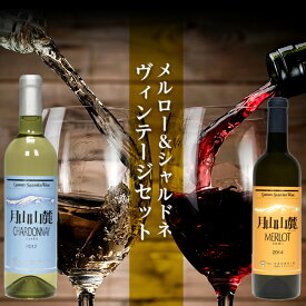 【ふるさと納税】【数量限定】月山山麓ワイン 赤・白 飲み比べ2本セット（メルロー・シャルドネヴィンテージ）720ml×2 ミディアムボディ 辛口 山形県 西川町 FYN9-745