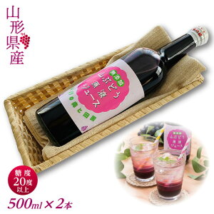 yӂ邳Ɣ[ŁzR`쒬zx20xȏIÂt[eB[ȎR`YRԂǂtW[X 500ml×2{ uhE 100  FYN9-343