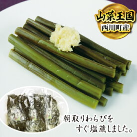 【ふるさと納税】西川町産 塩蔵わらび 3kg(1kg×3) FYN9-230