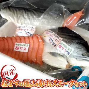 yӂ邳Ɣ[Łz}XRЂEX[NZbg FYN9-255