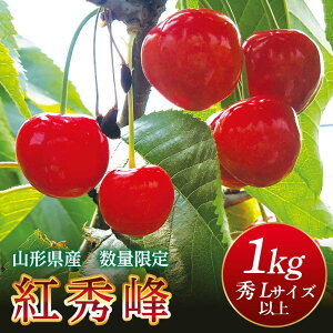 【ふるさと納税】 《2026年先行予約》山形県産 さくらんぼ 選べる品種・容量 佐藤錦 紅秀峰 500g 1kg秀 L以上 バラパック詰め 2026年6月上旬から順次発送 果実 果物くだもの フルーツ 化粧箱 贈