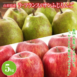 yӂ邳Ɣ[Łz sIׂeʁt R`Y EtX Tӂ l 3kg/5kg 2025N11{珇 m tX ь  S Hʎ ʕ  t[c 
