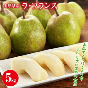yӂ邳Ɣ[Łz sIׂeʁt R`Y EtX 3kg/5kg 2025N11{珇 m tX Hʎ ʕ  t[c p Yn Ԍ R` 쒬 R FYN
