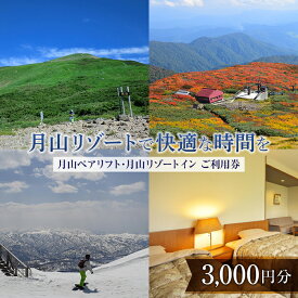 【ふるさと納税】山形県西川町 月山リゾート・スキー場で使える 月山観光開発利用券 3000円 FYN9-391