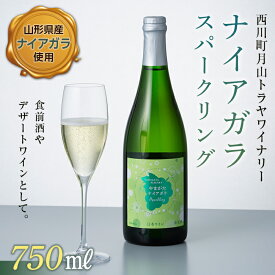 【ふるさと納税】月山トラヤワイナリー ナイアガラスパークリング 山形県 西川町 FYN6-107