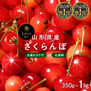 ランキング1位獲得!! 山形県産 さくらんぼ 品種おまかせ...