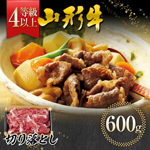 yӂ邳Ɣ[ŁzyƎҎxzR`Y јa 4ȏ R` ؂藎Ƃ 600g  FYN9-558