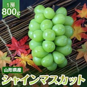 yӂ邳Ɣ[Łzs2025Ns\tR`Y VC}XJbg 800g 1[ 2025N9{珇 Ԃǂ uhE  }XJbg 嗱 Ȃ   ʕ t[c Hʎ 
