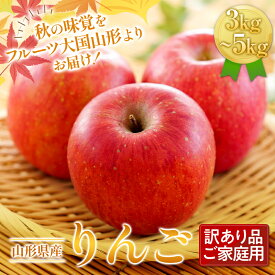 【ふるさと納税】 【選べる容量】《先行予約》ご家庭用 山形県産 りんご 3kg 5kg 11月下旬から順次発送 林檎 リンゴ 秋果実 冬果実 果物 くだもの フルーツ 訳あり 農業者 農家 支援 自宅 家庭 産地直送 山形県 西川町 月山 FYN9-599var