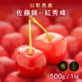 【ふるさと納税】 《2026年先行予約》山形県産 さくらんぼ 選べる品種・容量 佐藤錦 紅秀峰 500g 1kg秀 L以上 バラパック詰め 2026年6月上旬から順次発送 果実 果物くだもの フルーツ 化粧箱 贈り物 ギフト 贈答用 家庭用 自宅用 産地直送 山形県 西川町 月山 FYN9-602var