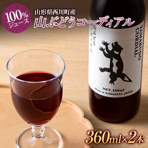 yӂ邳Ɣ[ŁzR`쒬Y RԂǂR[fBA i100W[Xj 360ml×2{ Zbg FYN9-617