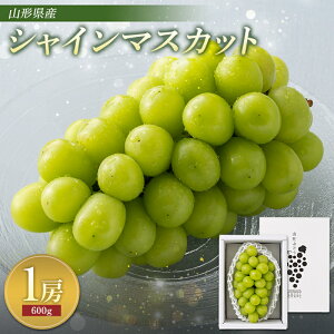 yӂ邳Ɣ[Łzs2025Ns\tp R`Y VC}XJbg 1[i600gȏjGi 2025N9{珇 Ԃǂ uhE  }XJbg 嗱 Ȃ   ʕ t