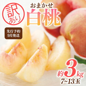 yӂ邳Ɣ[Łz 2025Ns\ ƒp 9 R`Y i킨܂  3kg(7`13) 2025N9{珇 d ͂Ƃ    ʕ  ĉʎ t[c 