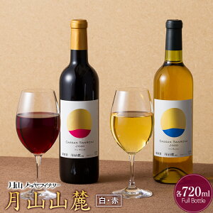 yӂ邳Ɣ[Łz yRgCi[zRR[ E ݔ׃Zbg e720ml C ԃC R` 쒬 FYN6-238