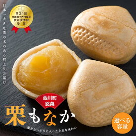 【ふるさと納税】【選べる容量】【西川町銘菓】日本一大きな栗の木 栗もなか 3個入 6個入 8個入り 全国菓子博覧会 技術優秀賞受賞 和菓子 最中 お菓子 おかし お土産 山形県 西川町 FYN6-157var