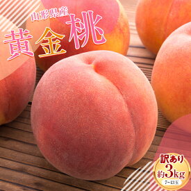 【ふるさと納税】 ≪2026年先行予約≫ ご家庭用 山形県産 無袋(ムタイ) 黄金桃 約3kg( 7～13玉) 2026年8月中旬から順次発送 黄桃 黄色 桃 もも モモ 果物 くだもの 夏果実 フルーツ 訳あり 農業者支援 家庭用 自宅用 産地直送 山形県 西川町 月山 FYN9-830