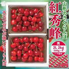 【ふるさと納税】 《先行予約》 2024年 山形県産 さくらんぼ 紅秀峰 秀 2L バラ詰 2kg(500g×4) 果物 くだもの フルーツ 夏果物 サクランボ チェリー 高級 ギフト 産地直送 山形県 西川町 月山 FYN9-906